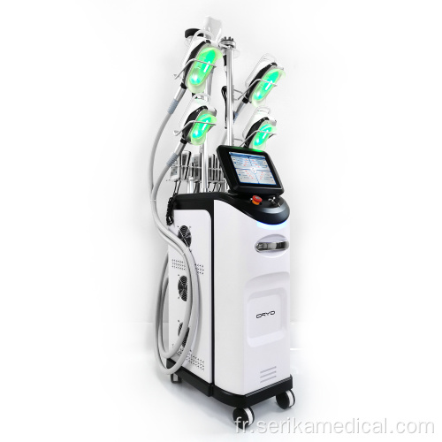 Multi-fonction FAT Freeze Cryolipolysis amincissant la machine